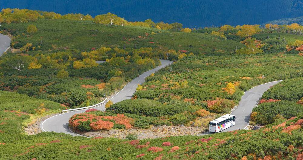 Hike through the most amazing autumn scenery in Mount Norikura
